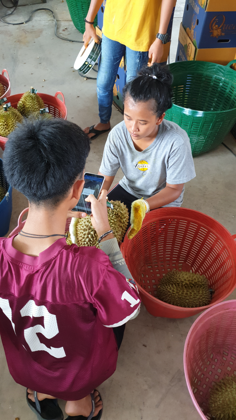 Financing The World’s First Blockchained Durians Queen Frozen Fruit