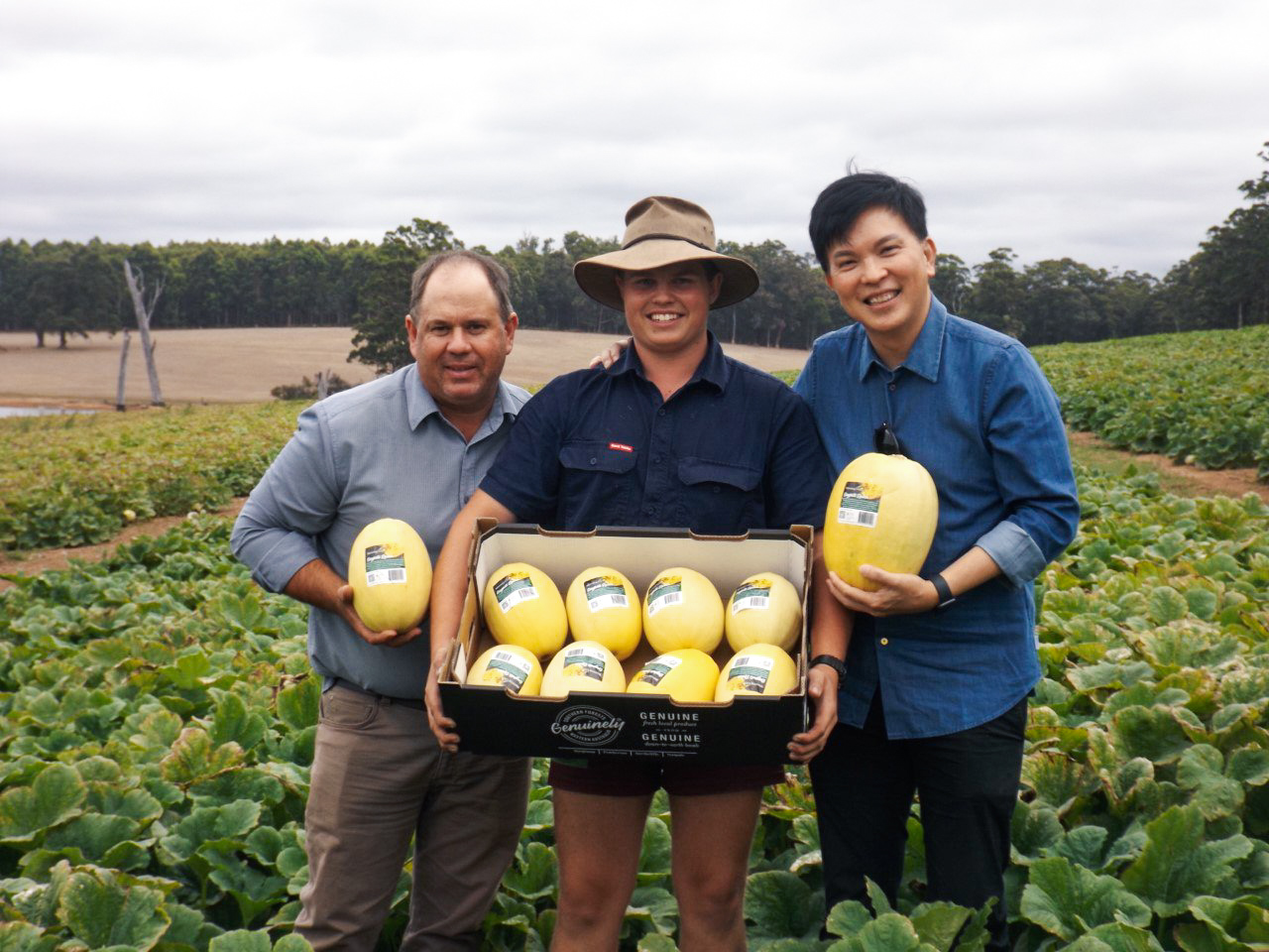 Bevan Morning Glory Farms DiMuto Western Australia Squash