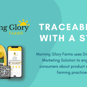 Morning Glory Farms Success Story DiMuto Traceability Marketing