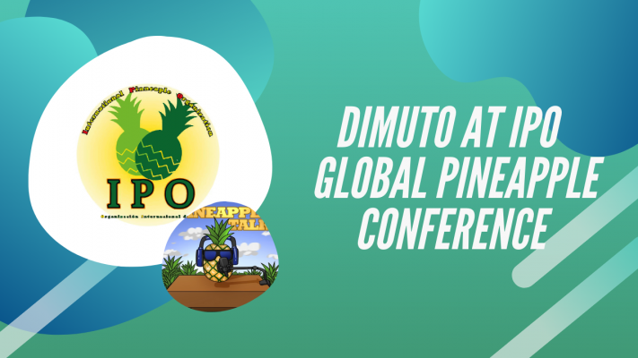 IPO International Pineapple Organization Pineapple Talk DiMuto