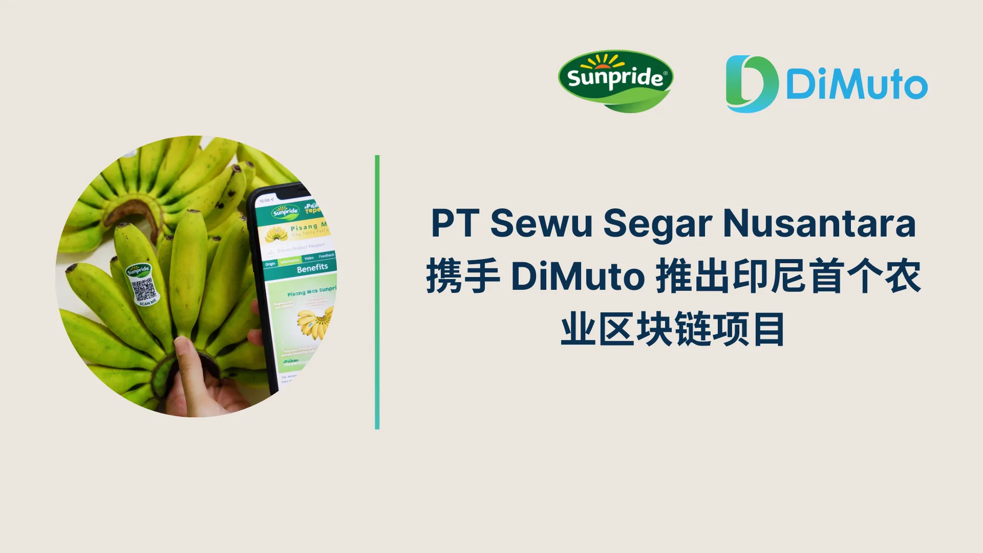 PT Sewu Segar Nusantara 与DiMuto 合作，在印尼启动首个农业区块链项目。 - DiMuto